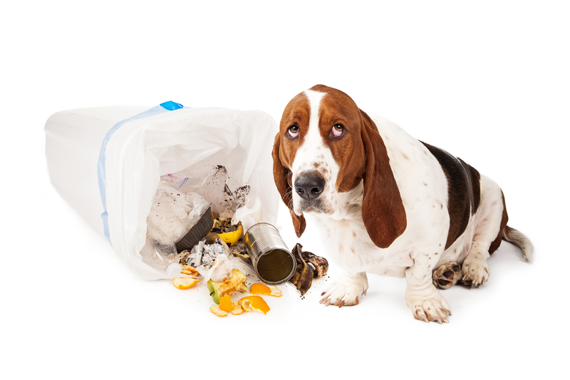 waste collection home